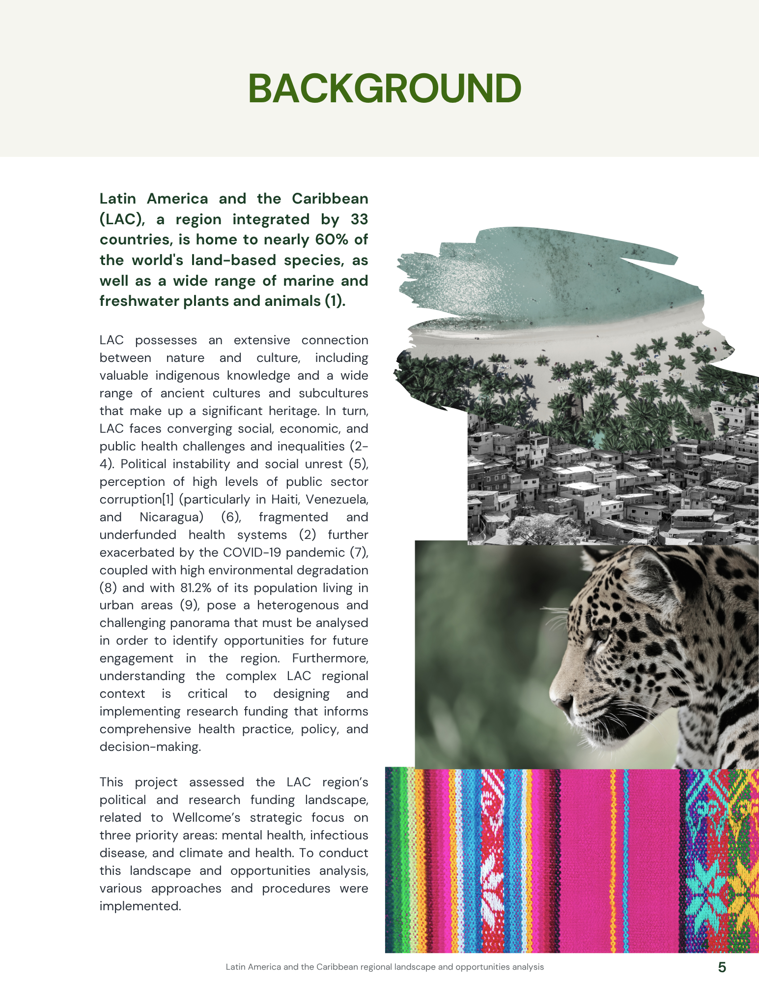 IAI report background section