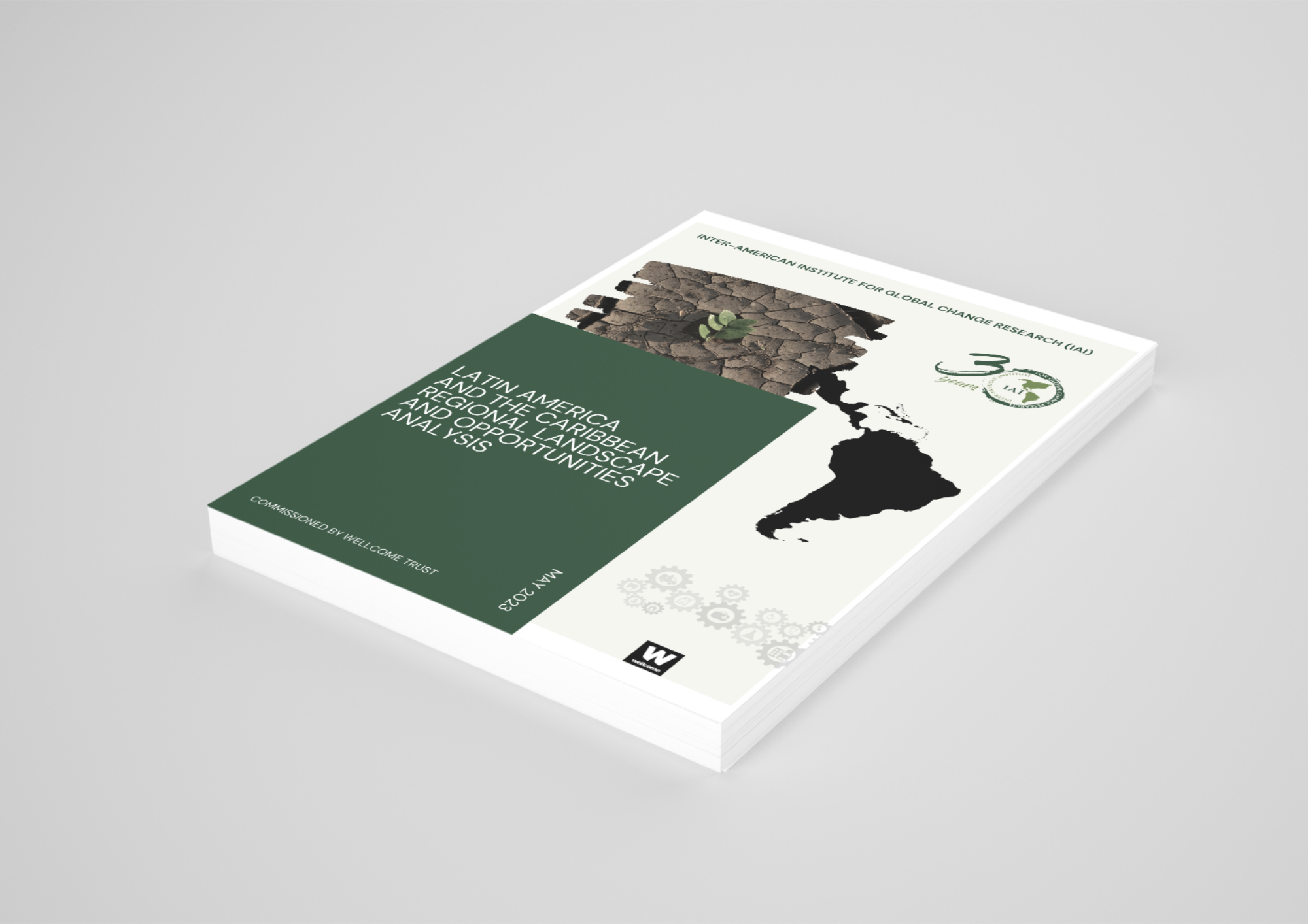 IAI Regional Landscape Report — 3D mockup